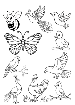 Carbon Print Book (5 Pages)- Fun With Tracing (Pack of 10 Books) Carbon Print Book (5 Pages)- Fun With Tracing (Pack of 10 Books)